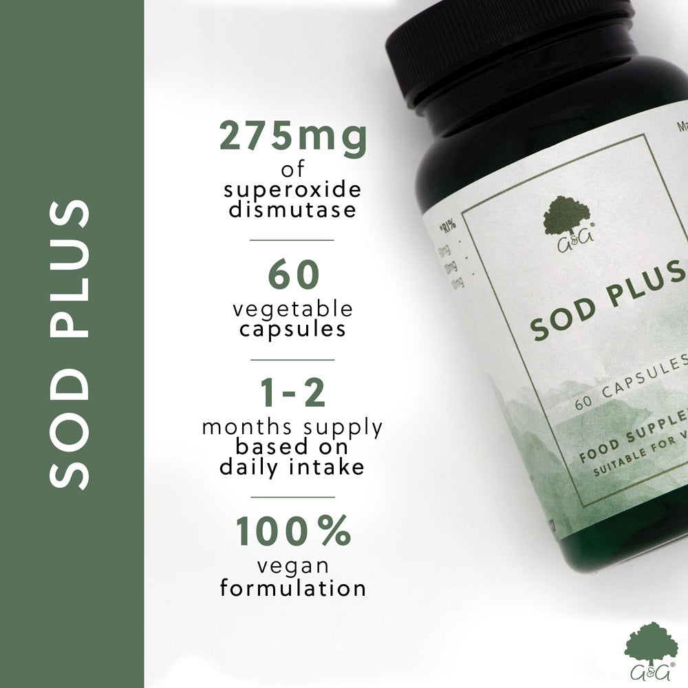 SOD Plus (Superoxide dismutase) - 60 Vegan Capsules