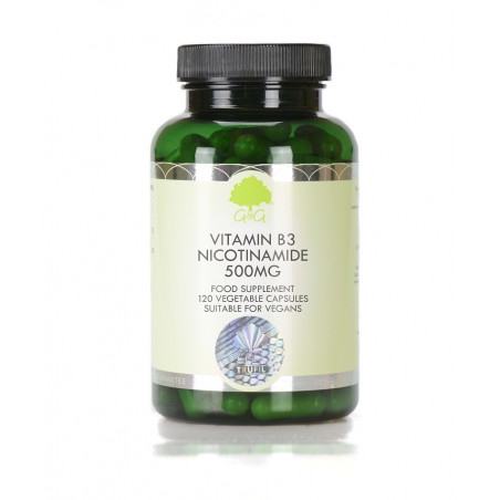 Vitamin B3 Nicotinamide 500 Mg 120 Count