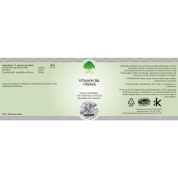 Vitamin B6 Pyridoxine 100mg - 120 Capsules