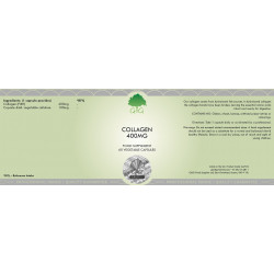 Collagen 400 mg - 60 Caps