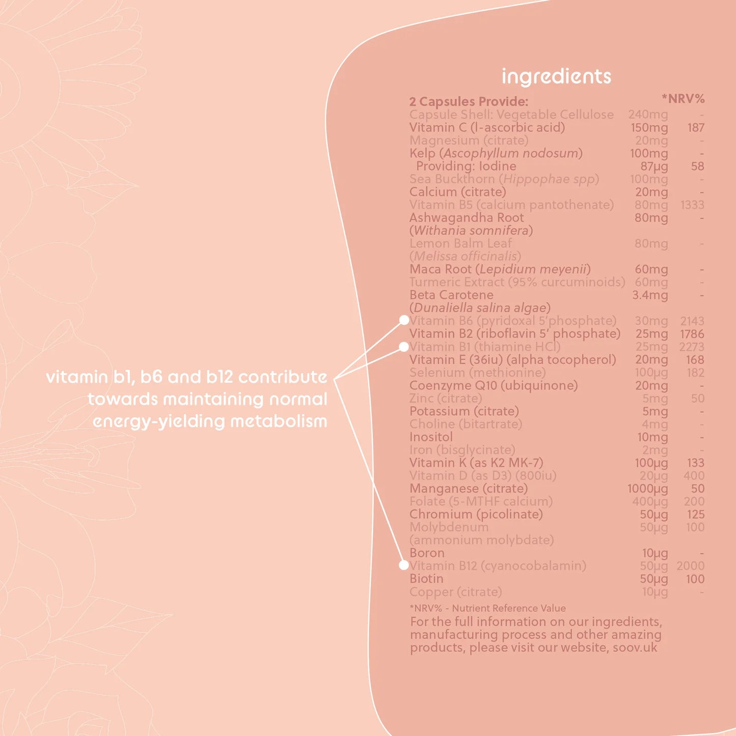 SOOV - 40+ - Daily Multivitamin - 60 Capsules