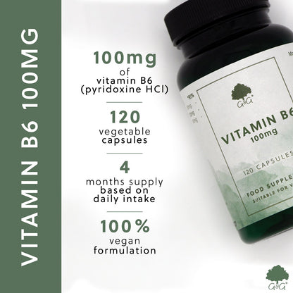 Vitamin B6 100mg - 120 Vegan Capsules